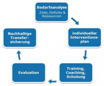 hahnzog_organisationsberatung_strategisches Beratungskonzept